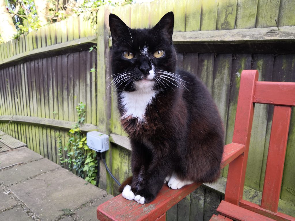 Honor View 10 Camera