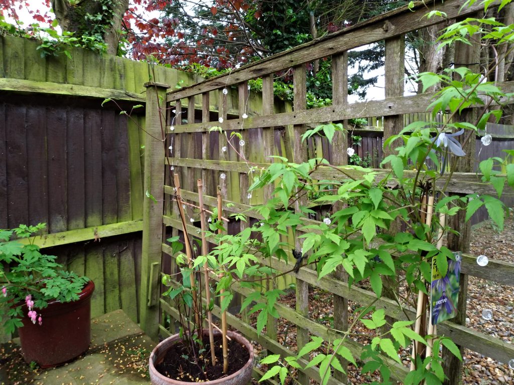 asus zenfone 4 camera 