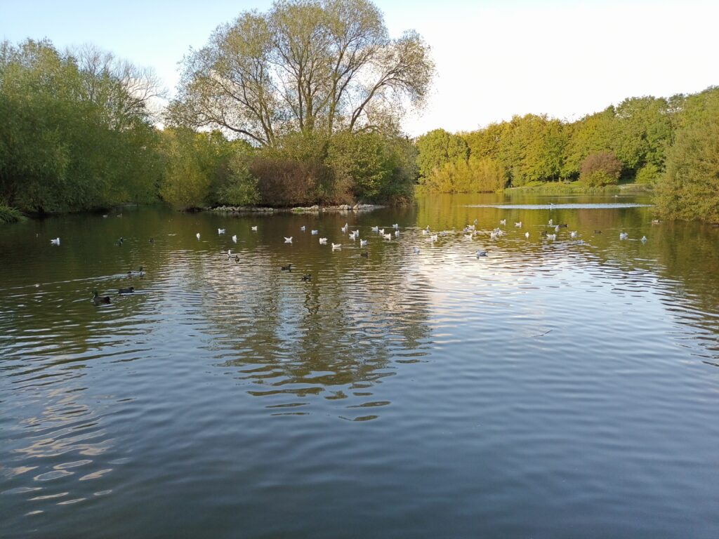 infinix zero 8 photos