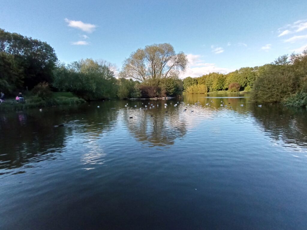 infinix zero 8 photos