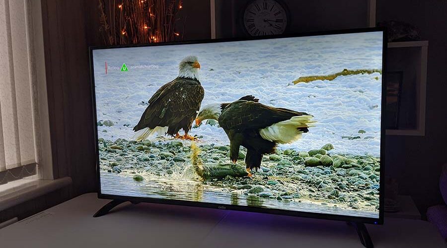 cello c4020g tv review